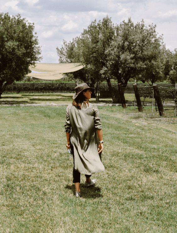 Viñedos La Terquedad