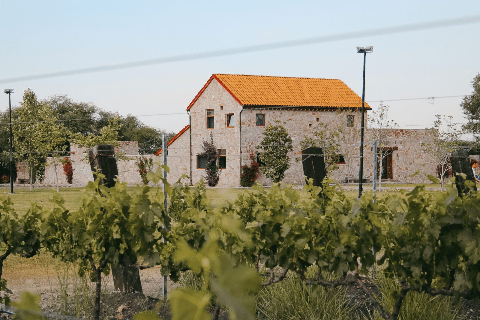 Viñedos La Terquedad