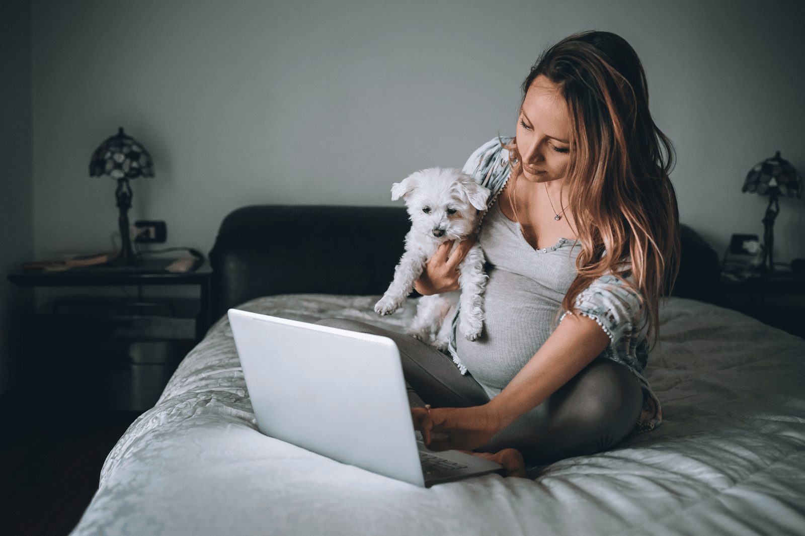 la mejor opción para tu mascota