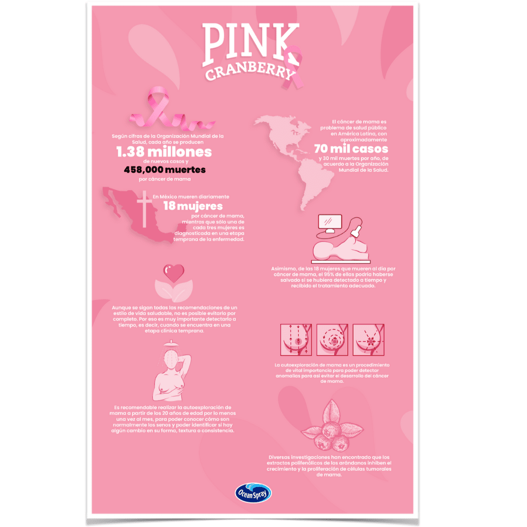 Ocean Spray Pink Cranberry