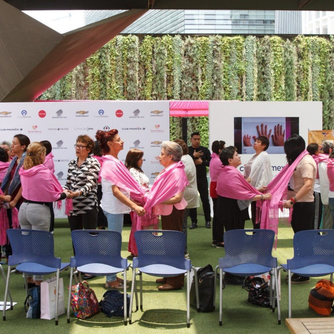 Ocean Spray Pink Cranberry