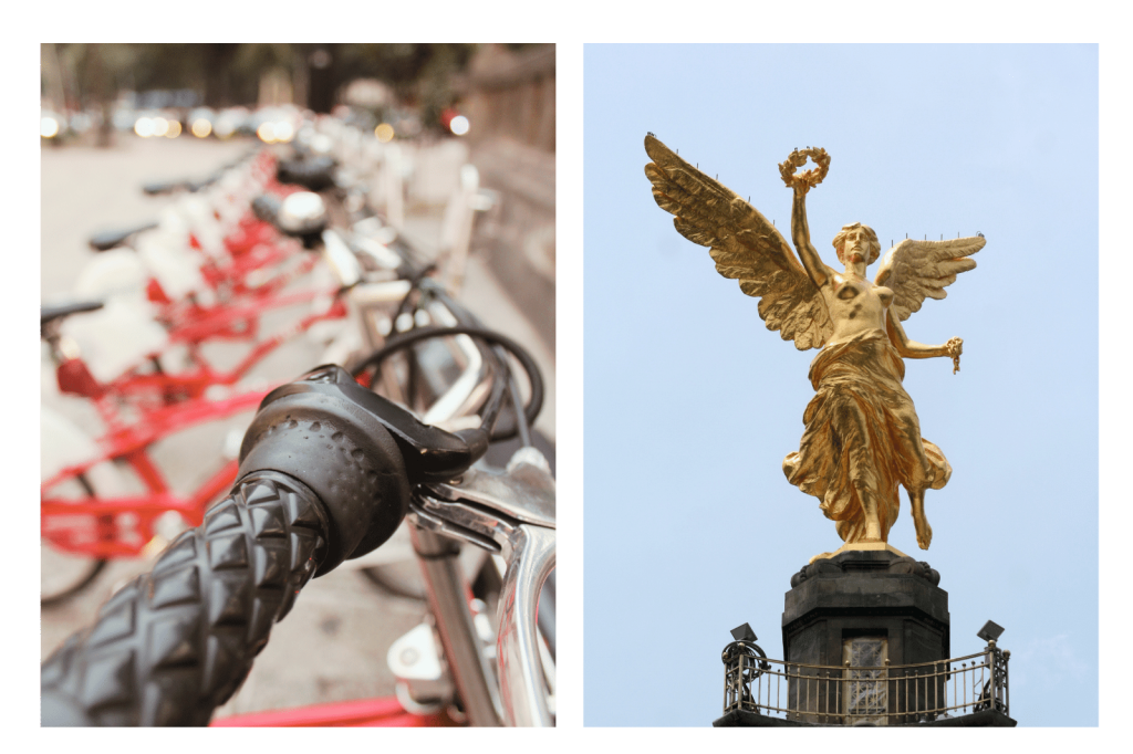 Qué puedo hacer en la CDMX en Primavera