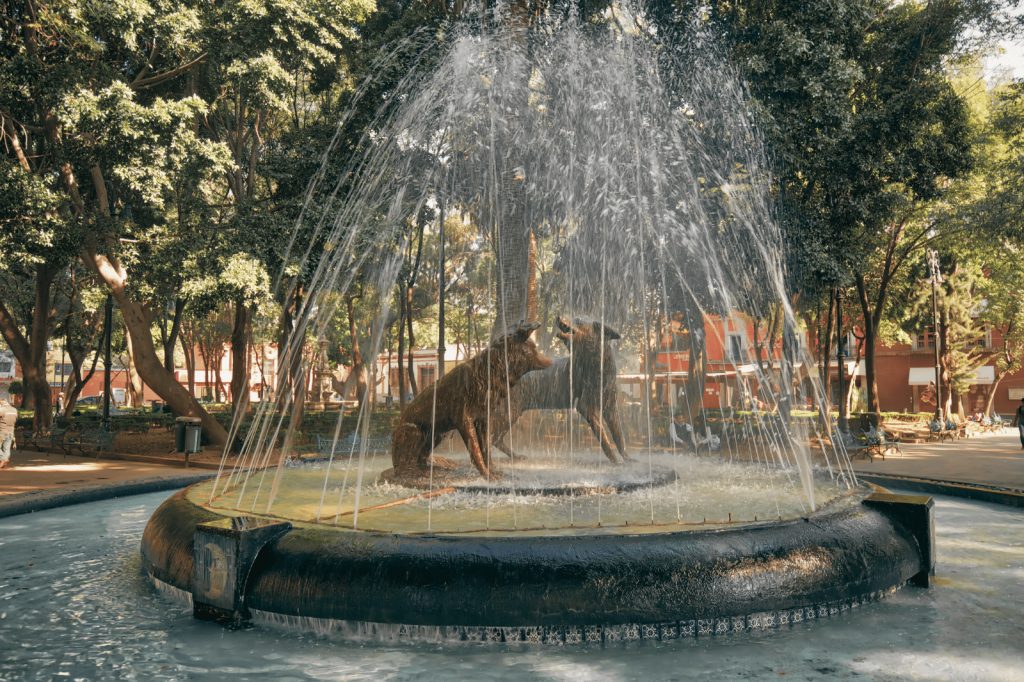 Qué puedo hacer en la CDMX en Primavera