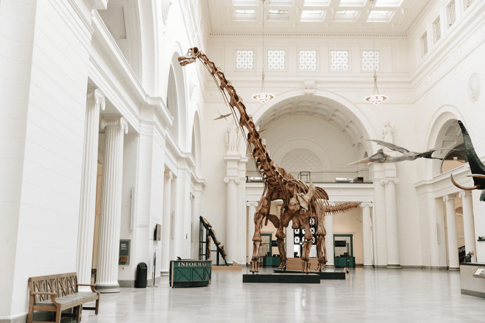 Field museum