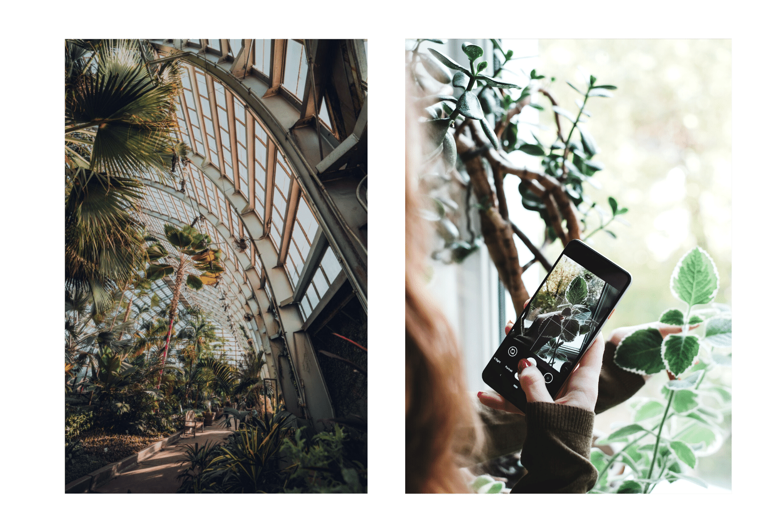 Chicago Botanic Garden