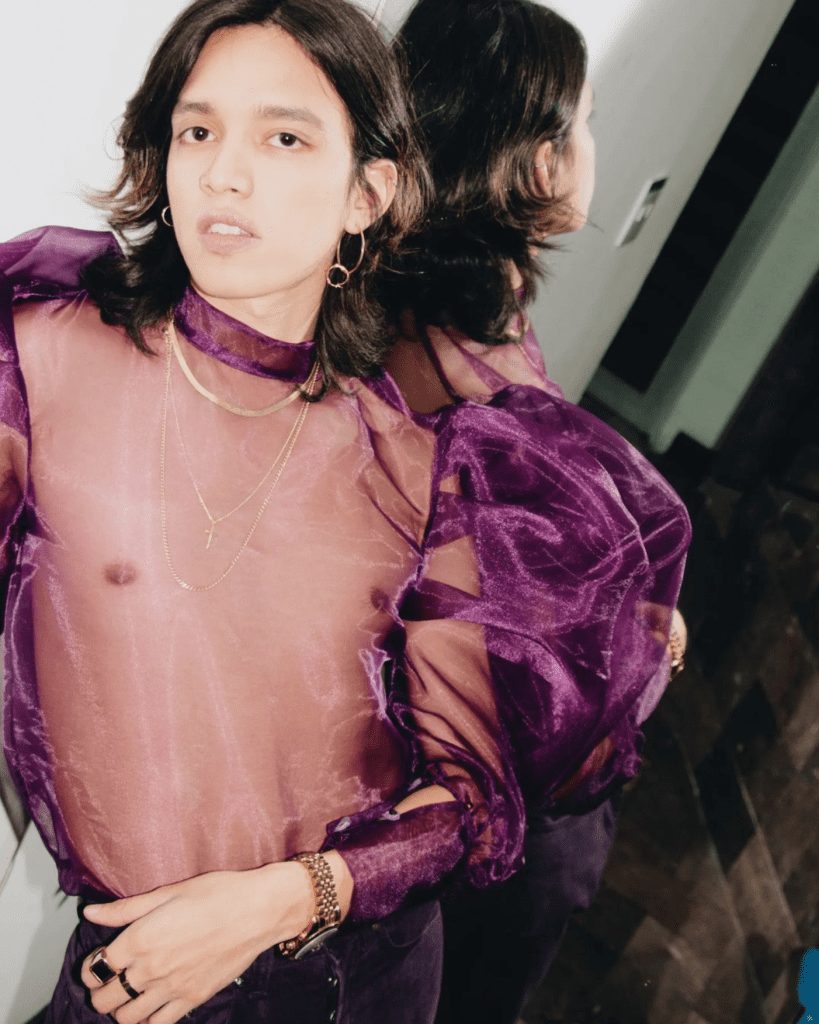 Proyectos musicales hechos en México