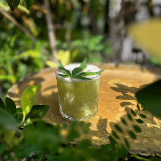 mejores terrazas en CDMX