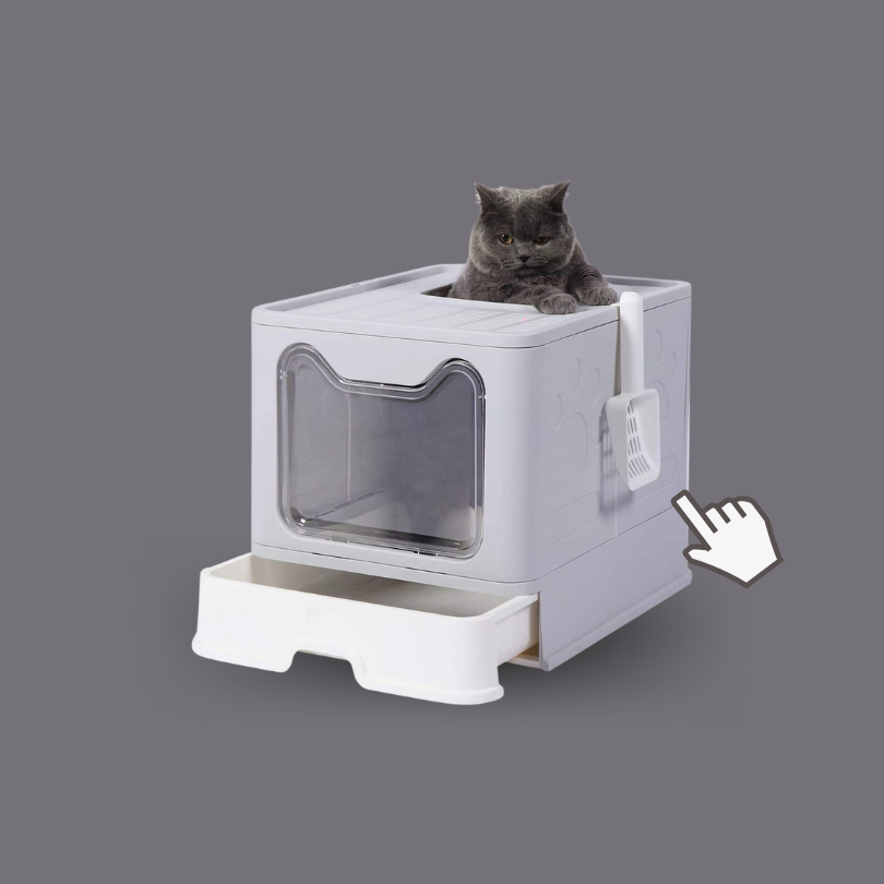 Caja de arena para gatos