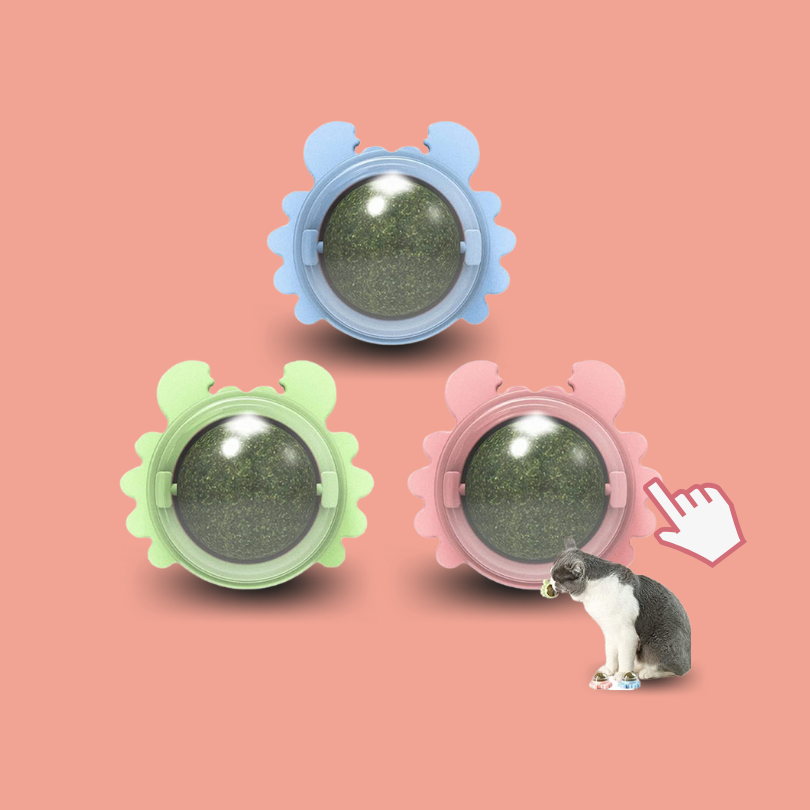 Pelotas de Catnip mejores productos para tu gato